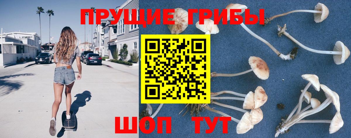 Горячий Ключ  Галлюциногенные грибы мицелий  Вход с VPN 